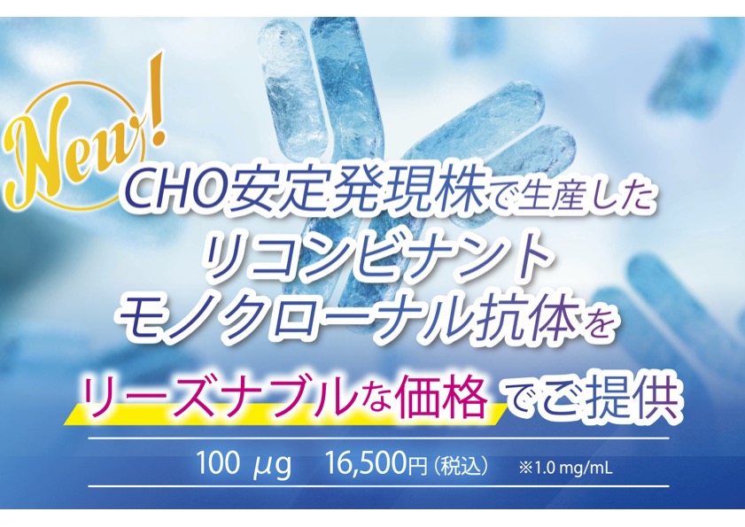 G CUBE Lab direct